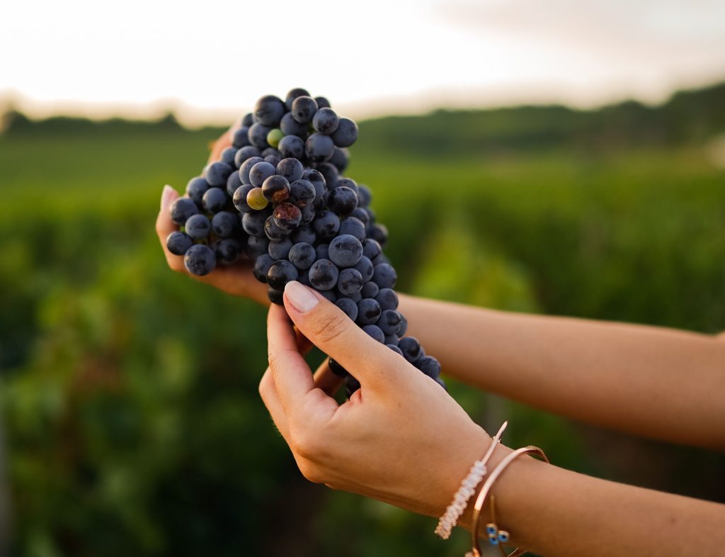 Part 1: Why Digital Transformation is Critical for Luxury Wine&nbsp;Marketing