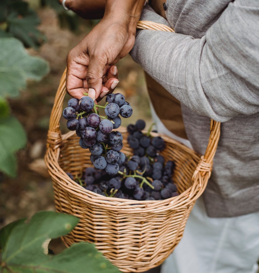Grapes in a basket