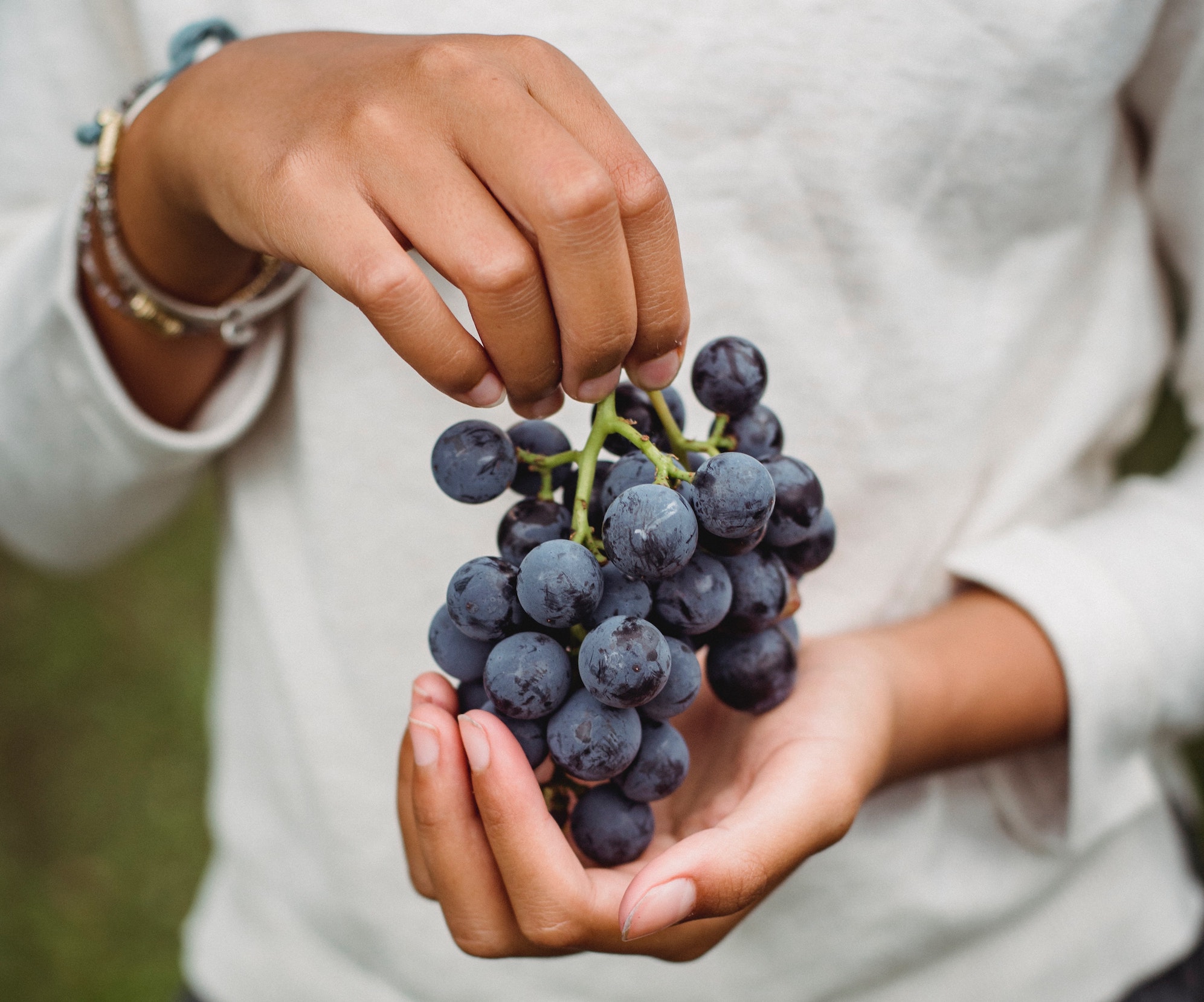 Grapes in hand